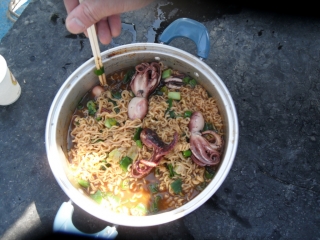SDC14373.jpg